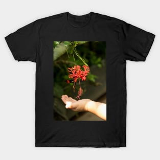 Child's hand touching beautiful butterfly T-Shirt